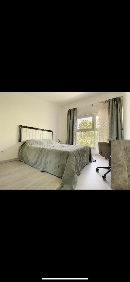 La Villa Petite Camargue Saint-Louis  Dış mekan fotoğraf